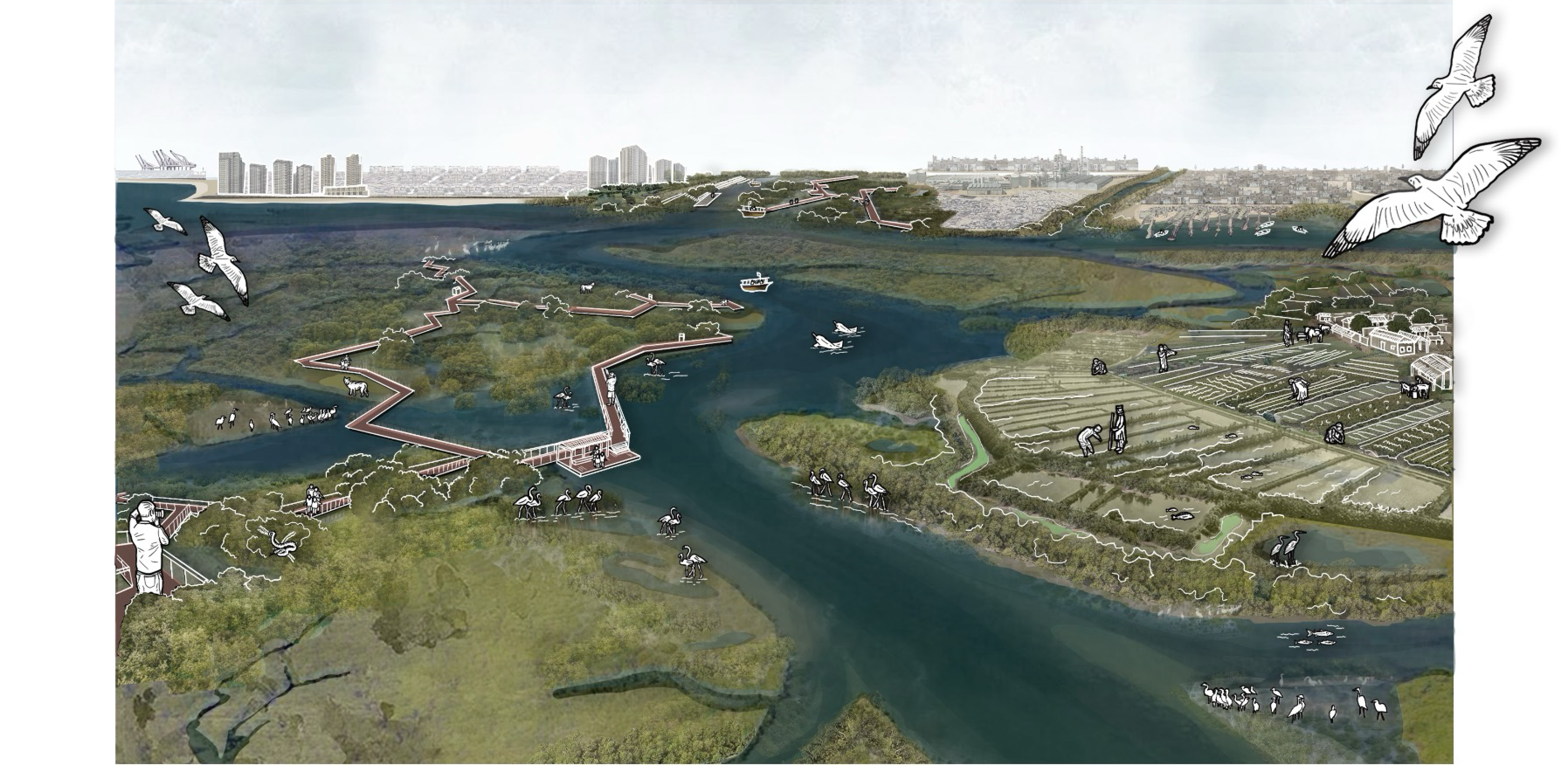 Aerial photo of Indus river delta